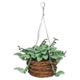 thumbnail image 2 of 1/12 resina casa de plantas colgante de arcilla flor plantas juguetes para cocina jardín accesorios de decoración en Hugo cesta colgante de casa de muñecas, 2 of 8