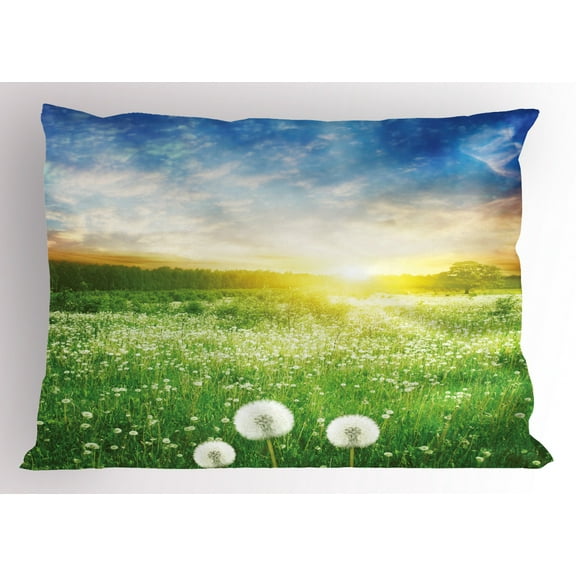 Ambesonne Spring Pillow Sham, Dandelion Flower Field, 36" X 20", Lime Green Blue