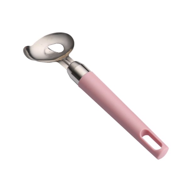 Cuchara peladora de cactus Función peladora de cactus De acero inoxidable Herramienta peladora y cortadora para cocina Gadget de cocina