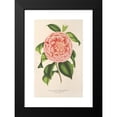 thumbnail image 2 of Charles Antoine Lemaire 11x14 Black Modern Framed Museum Art Print Titled - Camellia Countess Pasolini (1854-1896), 2 of 5