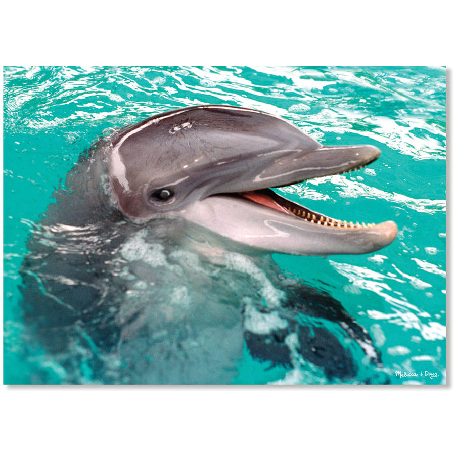 melissa and doug dolphin
