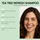 thumbnail image 3 of Champú con esencias de árbol de té para controlar la grasa, eliminar la caspa, purificar el cuero cabelludo, limpiar suavemente, suavizar, calmar el cuero cabelludo y fortalecer el cabello. 100 ml por, 3 of 5