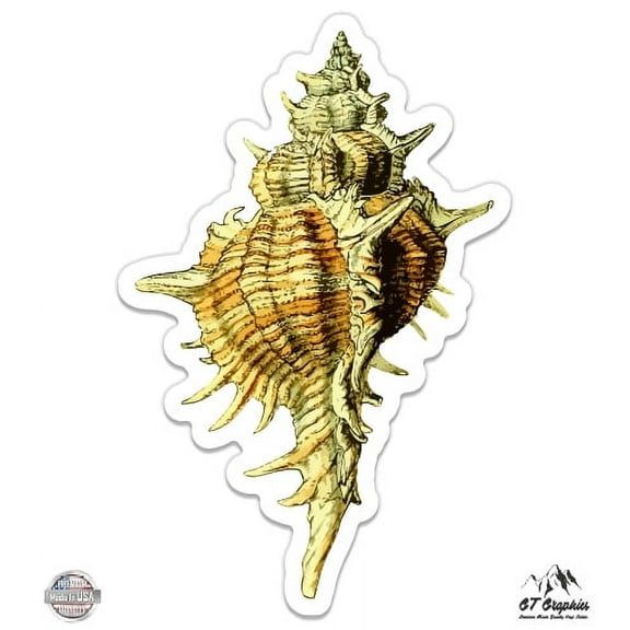 Detailed Seashell - 3" Vinyl Sticker - For Car Laptop I-Pad Phone Helmet Hard Hat - Waterproof Decal