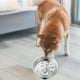 thumbnail image 4 of Comedero de acero inoxidable para perros, comedero lento, grueso, gran capacidad (1137 ml), diseño antiahogo para perros de razas medianas y grandes, favorece la alimentación y previene la, 4 of 7