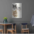 thumbnail image 4 of Luxe Metal Art 'American Shorthair 2' by Barbara Keith, Metal Wall Art, 24"x36", 4 of 9