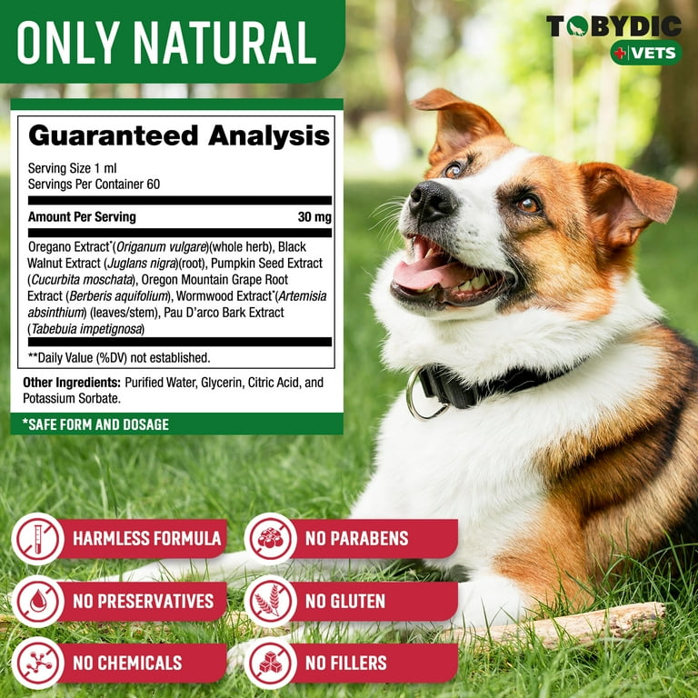 Natural remedies for worms in dogs 2025