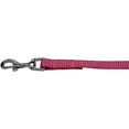thumbnail image 1 of Plain Nylon Pet Leash 3/8In By 6Ft Rose, 1 of 1