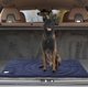 thumbnail image 4 of Greeniant Cama portátil, cama de viaje, súper perrera para perros, camas plegables, estera, perrera interior duradera, cama para perros, cama Suministros para perros Azul, 4 of 6