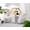 White, variant on Tekola 2 Pack Picnic Baskets, Metal Mesh Harvest Basket with Foldable Wooden Handle, Rectangle Garden Storage Basket Bin for Vegetable Fruit Garden Kitchen Cabinet Picking Gathering, Pink