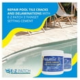 EZ Patch 3 Pool Tile Thinset Cement for Repairs Color Adjustable Pool Tile Adhesive (1 lb