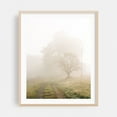 thumbnail image 2 of Farm Road, Accord - Accord New York Photography Rural Landscape Farmhouse Nature Rustic Autumn Scenic Unframed Wall Art Print 20 x 24 inches, 2 of 13
