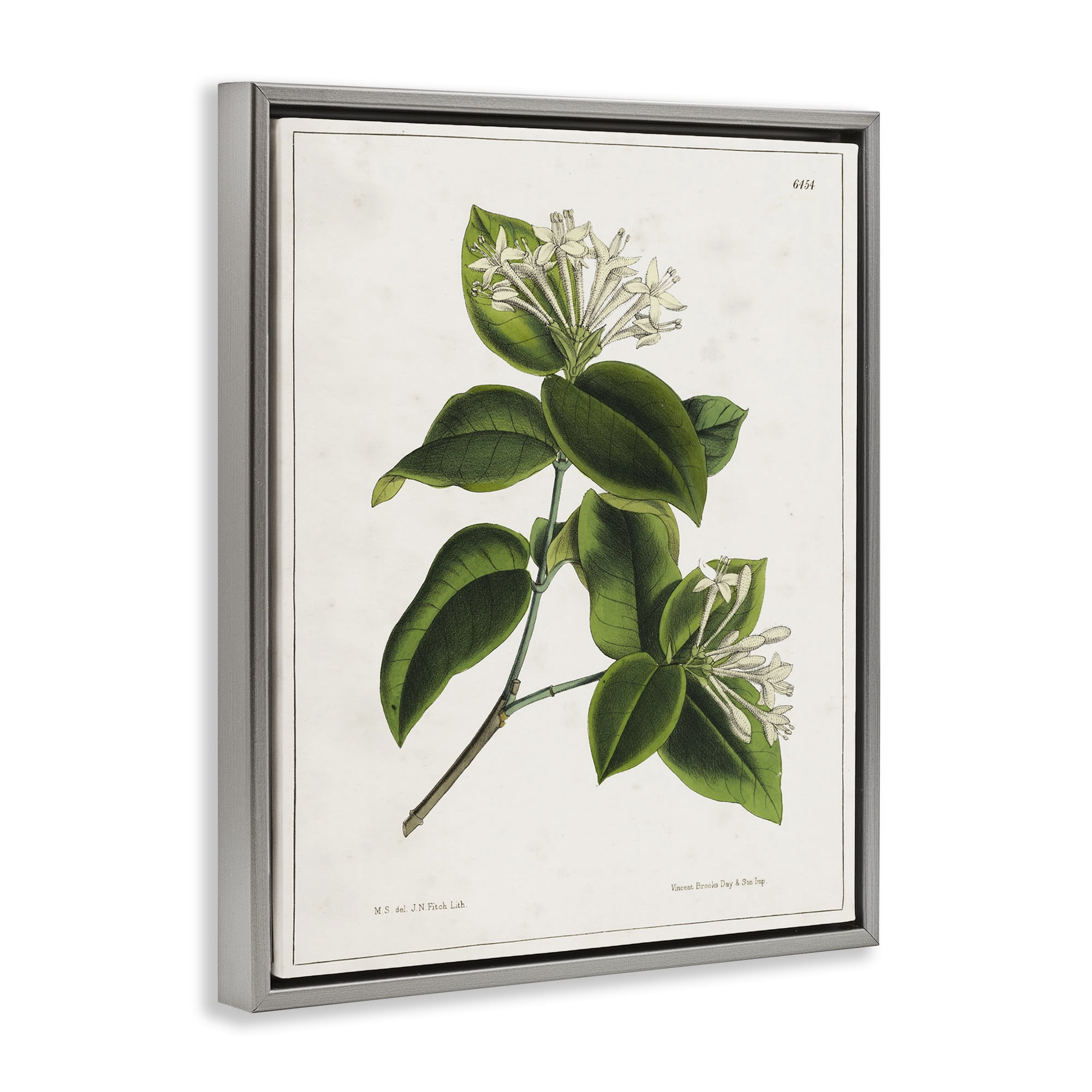 Stupell Industries Blooming Vintage Study Plants & Flowers Painting Gray Floater Framed Canvas Art Print Wall Art, 25 x 31