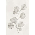 thumbnail image 2 of Great Art Now Spotted Botanical 3 by Kimberly Allen, Framed Wall Art, 16W x 21.5H, 2 of 2