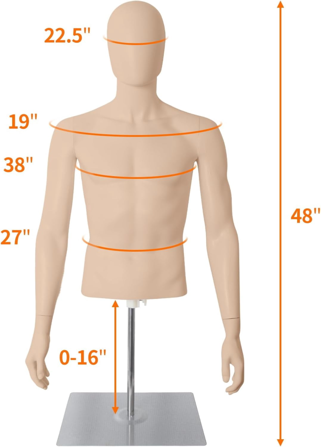 FreeLung Male Half Body Mannequin Torso with Stand, Adjustable Height 32" - 48", Complexion