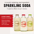 Premium Sparkling Soda Classic Mixer Variety Pack by Blake Lively (12