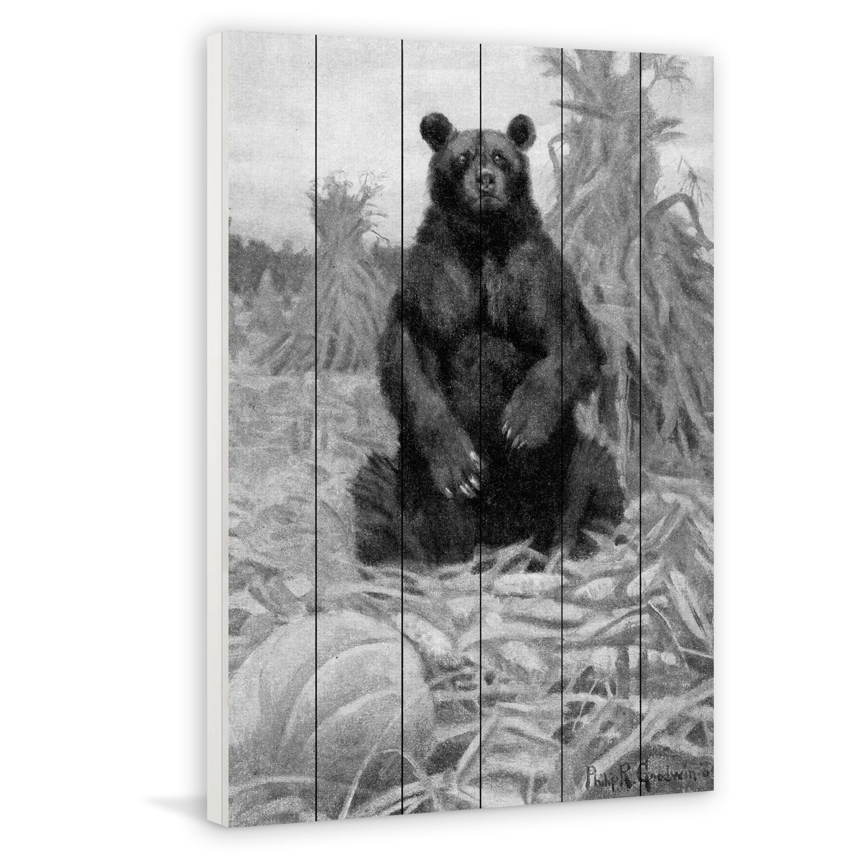 Marmont Hill "Bear in Hay BW" Painting Print on White Wood