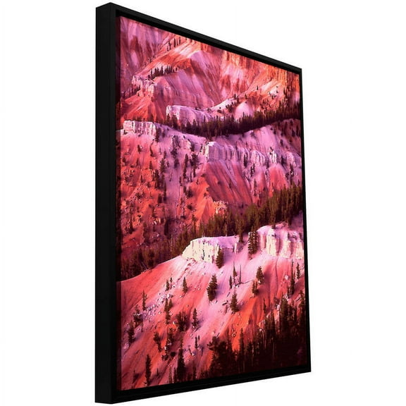 ArtWall Dean Uhlinger "Cedar Breaks Twilight" Floater Framed Gallery-Wrapped Canvas