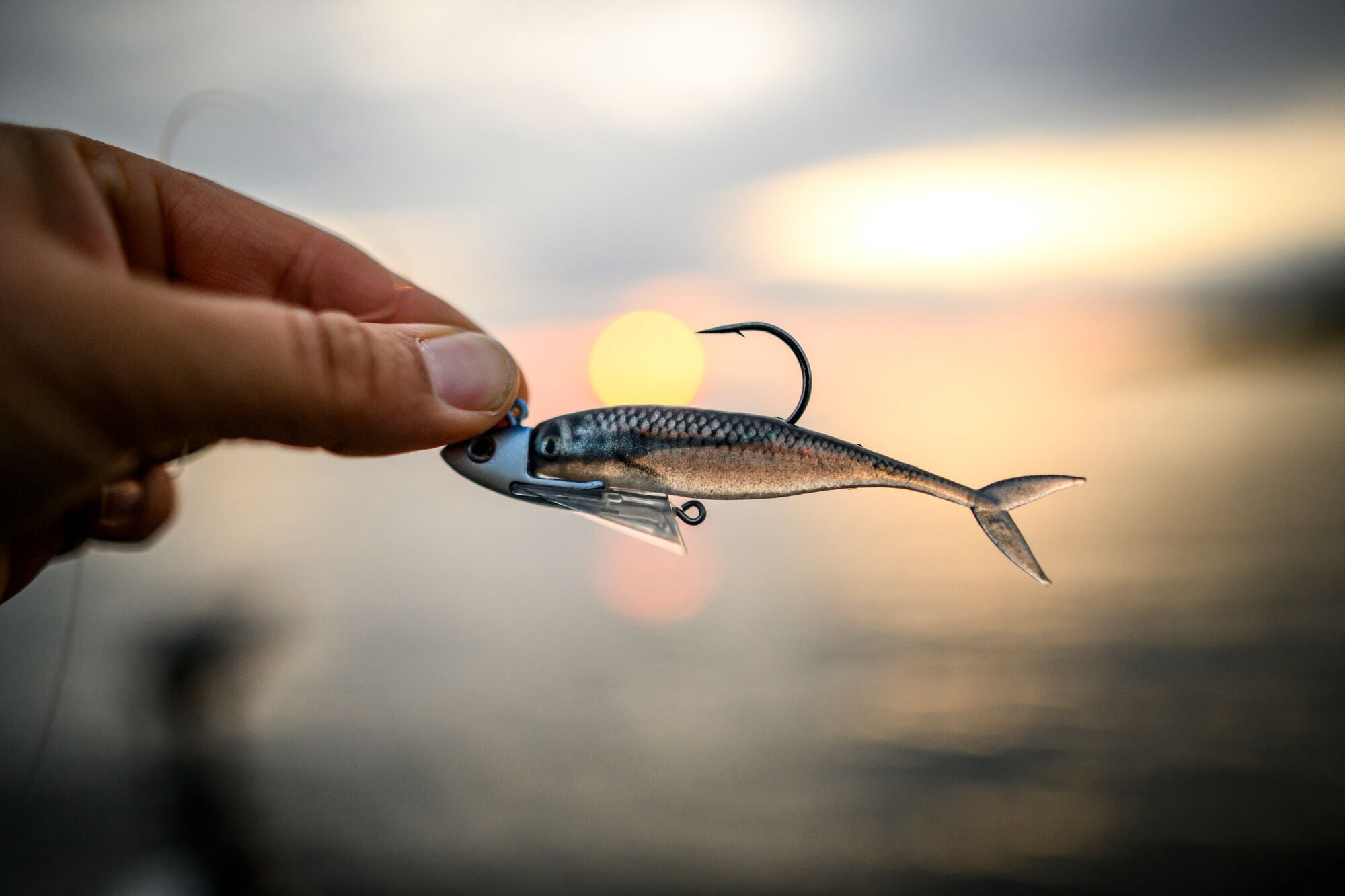 Berkley PowerBait® The Champ Minnow, 2.5 in, Minnows, HD Blacknose Shiner (10 Count)