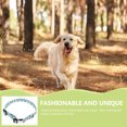 thumbnail image 4 of unbranded Collar Para Mascotas Ajustable Color Con De Rápida Y Resistente, 4 of 6