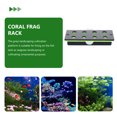 thumbnail image 3 of GOOHOCHY Soporte Para Coral En Acuario Material Acrílico Para Cultivo Y, 3 of 8