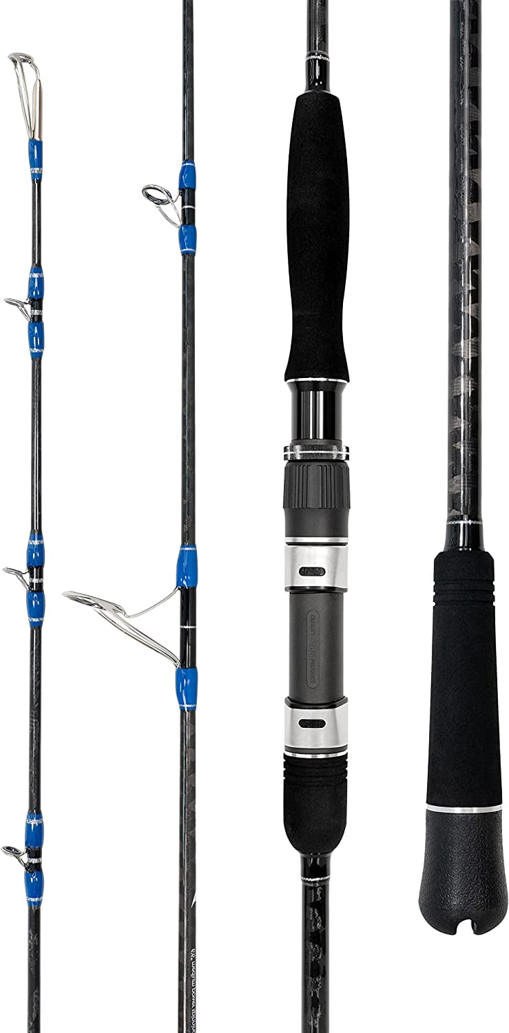 BLUEWING Spinning Rods Fishing Rod 1 Piece Fishing Pole with SIC Kseries Guides and Stainless