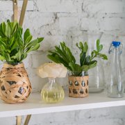 SPA Springs Greenleaf Flower Diffuser