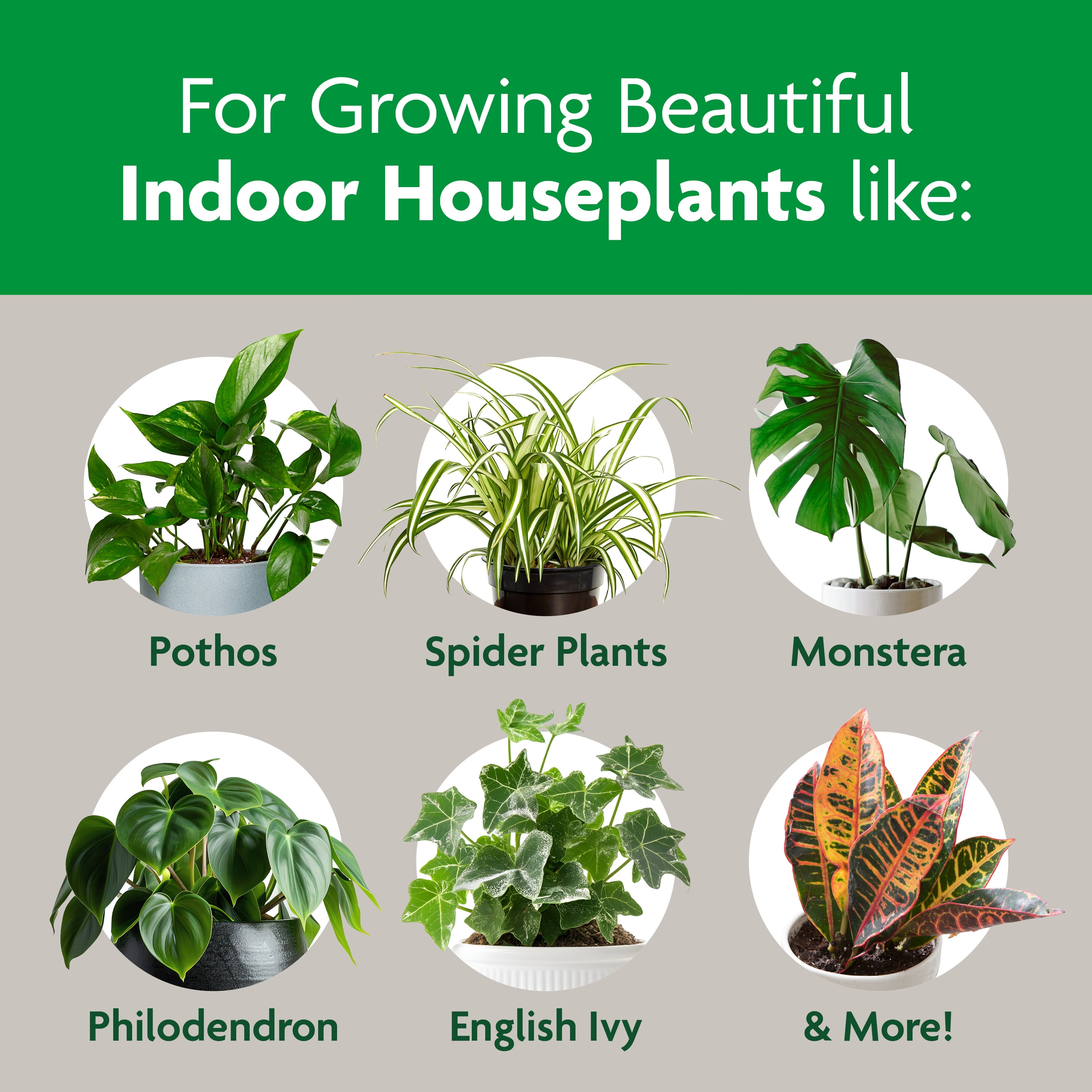 Miracle-Gro Indoor Potting Mix, Blended for a Variety of Houseplants, 6 qt., 2-Pack