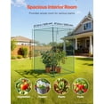 thumbnail image 2 of VEVOR Crop Cage, 3.9 x 3.9 x 5.9 ft Plant Protection Tent with Zippered Door, Wind-Resistant Tall Crop Cage, Easy to Install, Outdoor Raised Bed Cover, Tomato Plant Netting for Garden Patio Lawn, 2 of 9