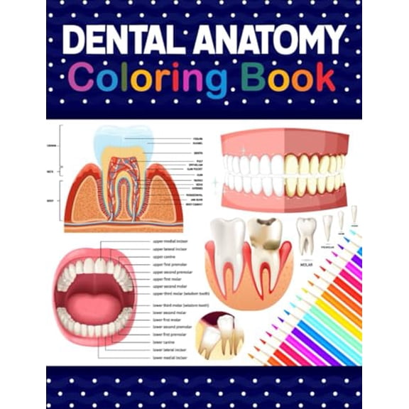 Pre-Owned Dental Anatomy Coloring Book: Learn the Basics of Dental Anatomy. Dental Anatomy Coloring Book for Cute Children's, Kids, Boys, Girls, Dental ... Dentists. Anatomy Book for Dental Students.
