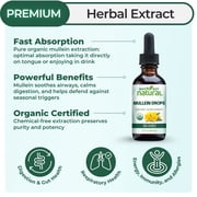 Organic Mullein Drops for Lungs