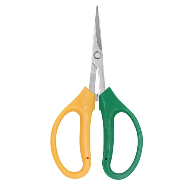 Tijeras de podar domésticas con mango bicolor para jardinería y recolección de uvas