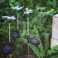 thumbnail image 4 of 3 Pack Multicolor Changing LED Solar Garden Lights in Butterfly, Hummingbird, Dragonfly Shapes for Party Decoration, Lawn, Yard, Pathway Lighting, 4 of 5