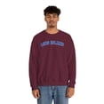 thumbnail image 5 of Long Island New York Sweatshirt Gifts Crew Neck Shirt Long Sleeve Unisex, 5 of 7