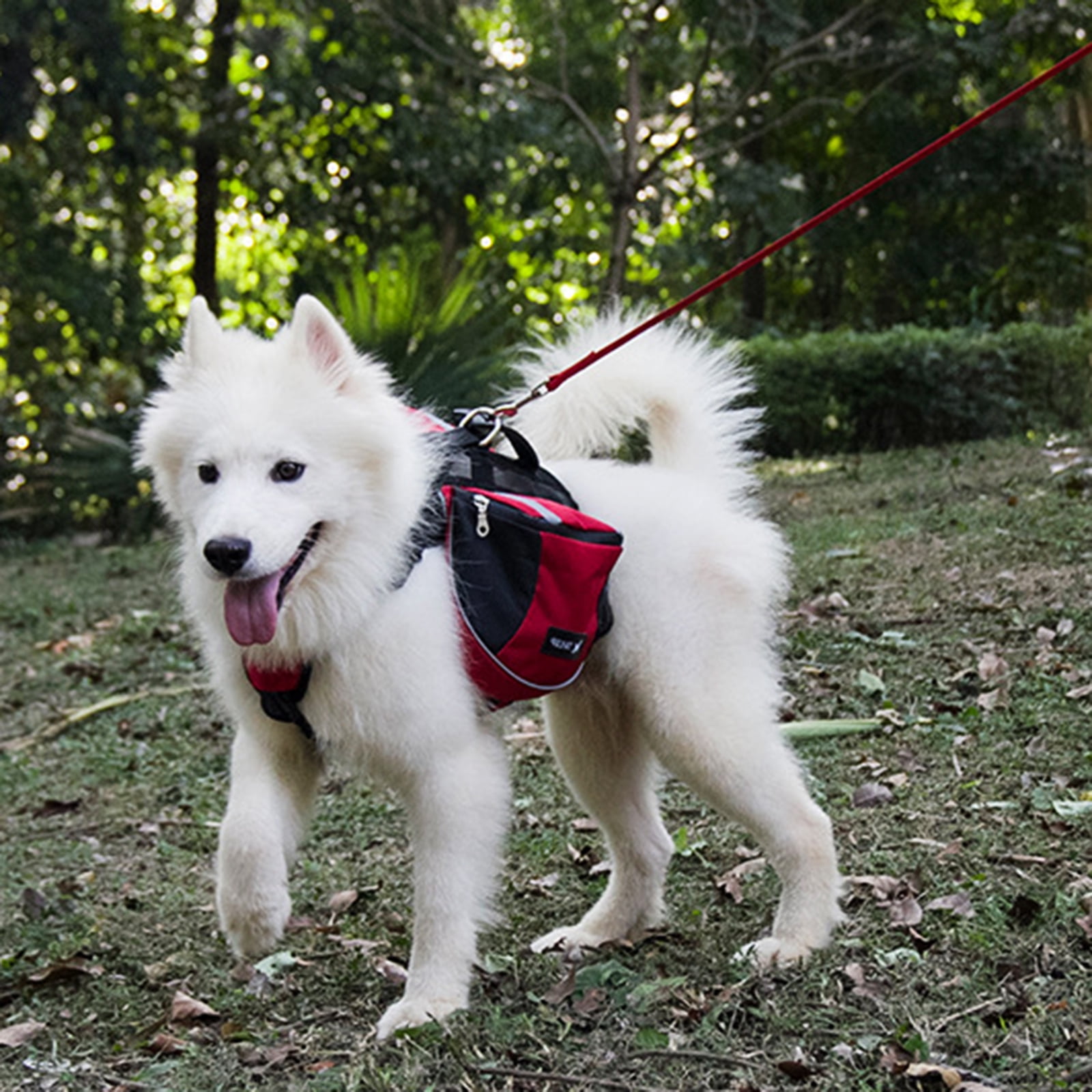 Dog Backpack Outdoor Training Pet Walking Camping Hiking Essential Multifunctional Dog Saddlebag