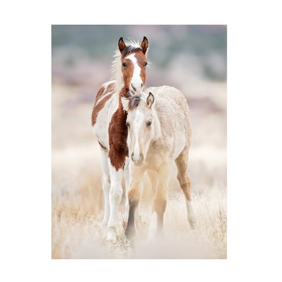 PHBurchett 'Collection of Horses X' Canvas Art
