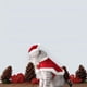 thumbnail image 5 of Disfraz de gato para Navidad, capa de Papá Noel para mascotas con cascabeles, bonito gorro navideño, un conjunto de dulces regalos para perros y gatitos (S), 5 of 5