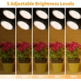 thumbnail image 3 of LED Grow Light Full Spectrum White Light 4/8/12H Timer 5 Brightness Leves Clip Plant Growing, 3 of 8
