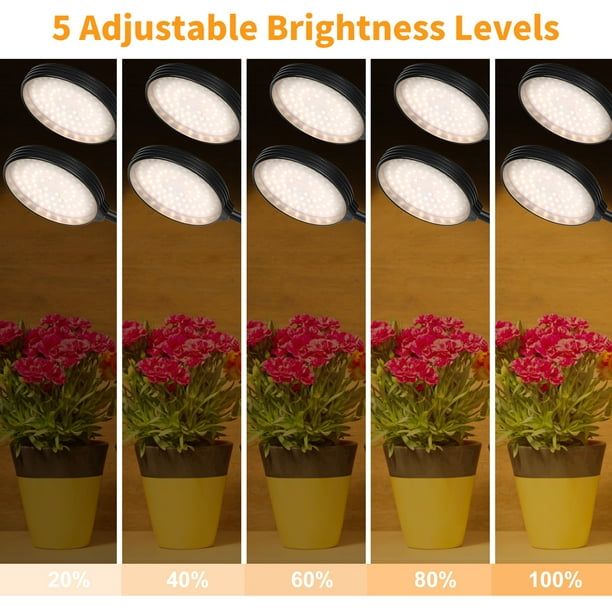 Led Grow Light Full Spectrum White Light 4 8 12H Timer 5