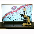 thumbnail image 2 of AmScope 1920x1080 Full HD HDMI Microscope Camera New, 2 of 2