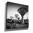 thumbnail image 2 of Epic Graffiti 'Namibia Quiver Trees' by Nina Papiorek, Canvas Wall Art, 26"x26", 2 of 2