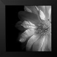 thumbnail image 2 of Le Blanc, Dawn 20x20 Black Modern Framed Museum Art Print Titled - Clematis, 2 of 5