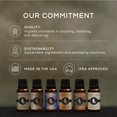 thumbnail image 4 of Aceite aromático Eternal Essence Oils Pumpkin Patch 30 ml, 4 of 6
