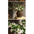 thumbnail image 2 of Nvzi 3 piezas de flores artificiales de tacto real, flores falsas para decoración del hogar, oficina, boda, arreglo de ramo de flores artificiales para decoración (blanco, 28,3 pulgadas de largo), 2 of 5