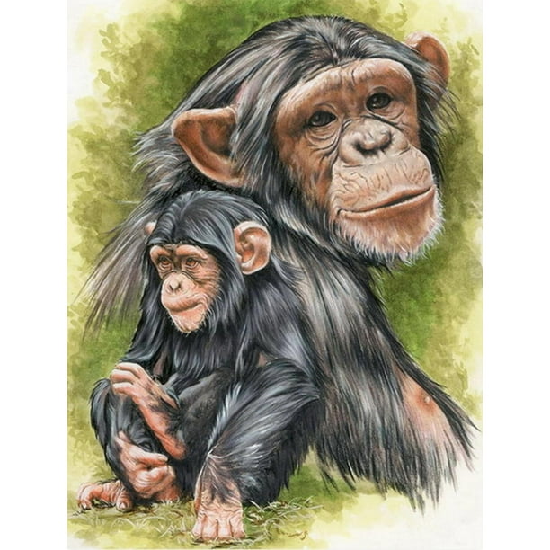 Taladro diamante pintura (DE2856) 5D DIY completo babuino Animal punto de cruz bordado 30x40cm FLhrweasw Nuevo