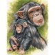 thumbnail image 1 of Taladro diamante pintura (DE2856) 5D DIY completo babuino Animal punto de cruz bordado 30x40cm FLhrweasw Nuevo, 1 of 1