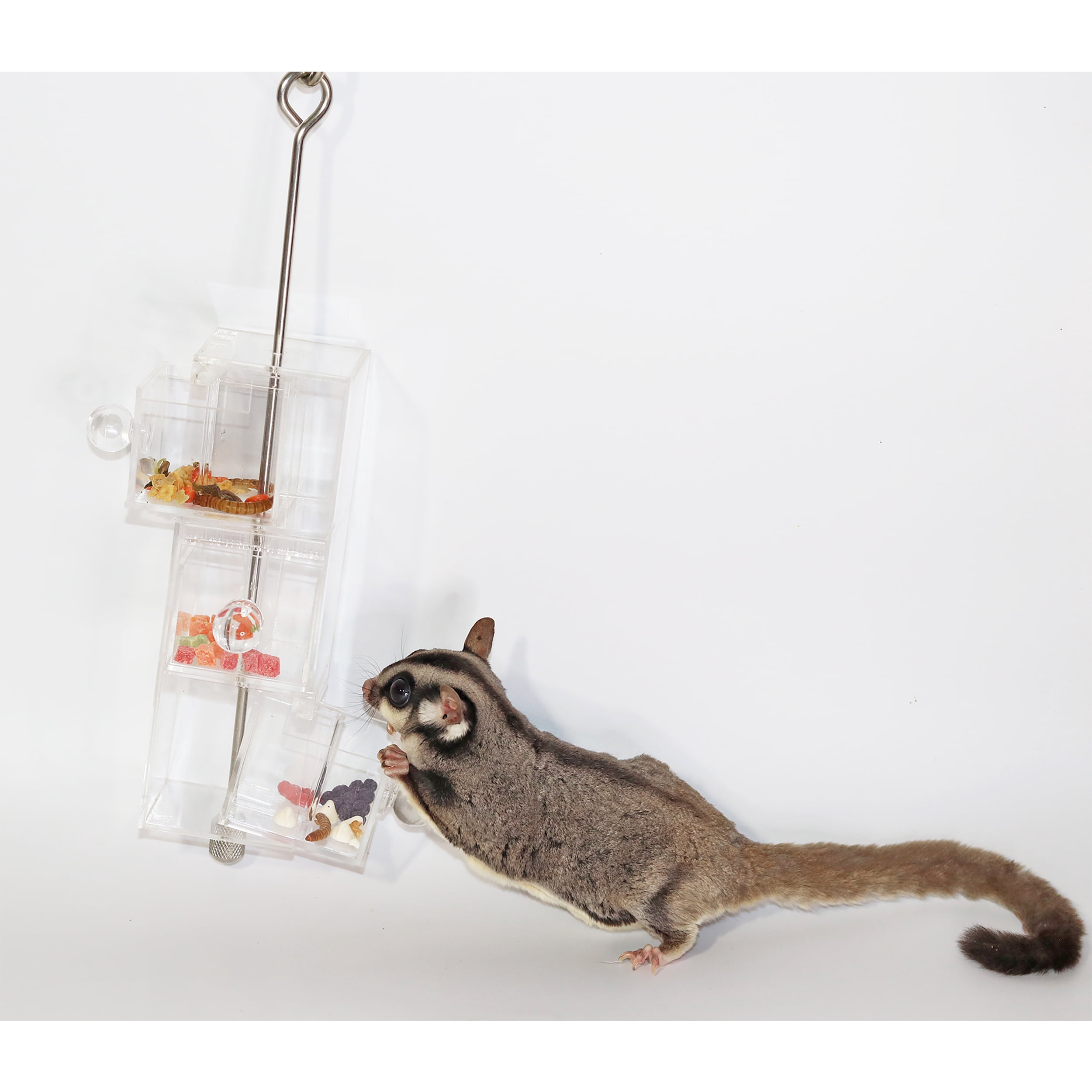 Exotic Nutrition Doors & Drawers Forage Toy