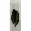 Fresh Cut Bay Leaves