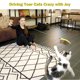 thumbnail image 2 of Palos para gatos, atrapasueños interactivos, juguetes para gatos, palos para gatos, caña de pescar, juguetes para practicar gatos y gatitos, 2 of 7