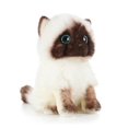 thumbnail image 3 of Cute Ragdoll Cat Plush Stuffed Animal Toys, 3 of 5