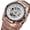 Rose gold&White, variant on VIGOROSO Men's Automatic Mechanical Wrist Watch Skeleton Stainless Steel Watch